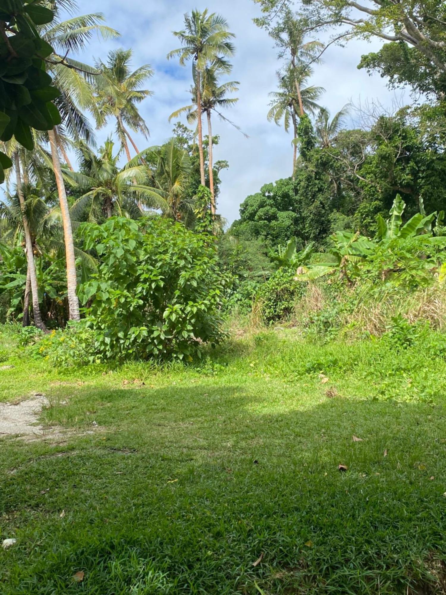 Vatupau Beachfront Bungalows Port Vila Luaran gambar