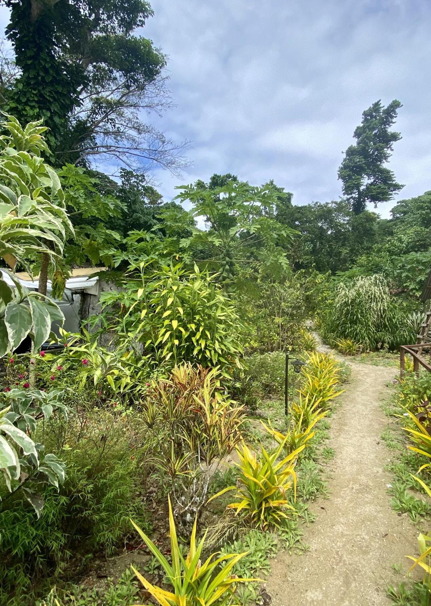 Vatupau Beachfront Bungalows Port Vila Luaran gambar